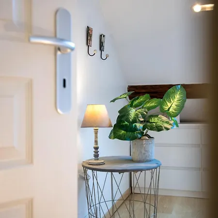 Appt Duplex La Ganterie, Fibre En Centre-ville