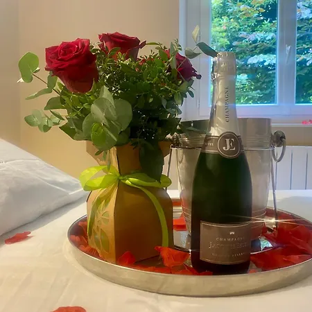 Appt Duplex La Ganterie, Fibre En Centre-ville Appartement