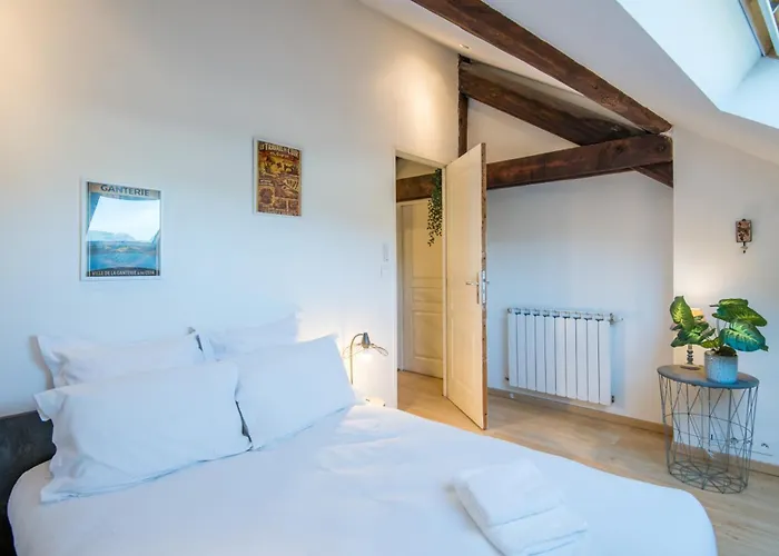 Appt Duplex La Ganterie, Fibre En Centre-ville