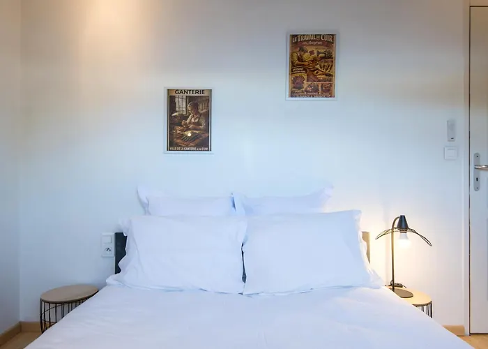 Appartement Appt Duplex La Ganterie, Fibre En Centre-ville Millau