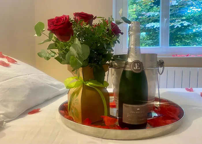 Appt Duplex La Ganterie, Fibre En Centre-ville Appartement